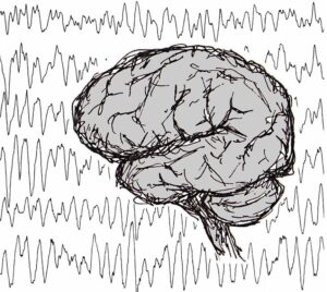 Neuropraxis Frankfurt (Oder)