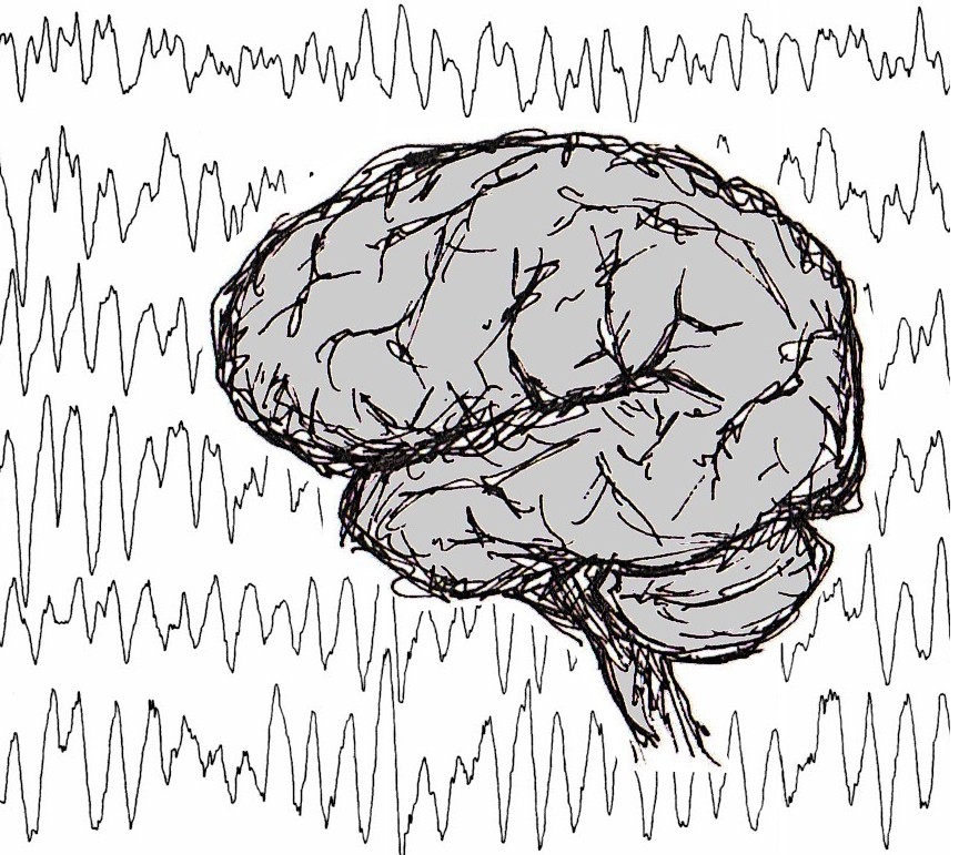Neuropraxis Frankfurt (Oder)